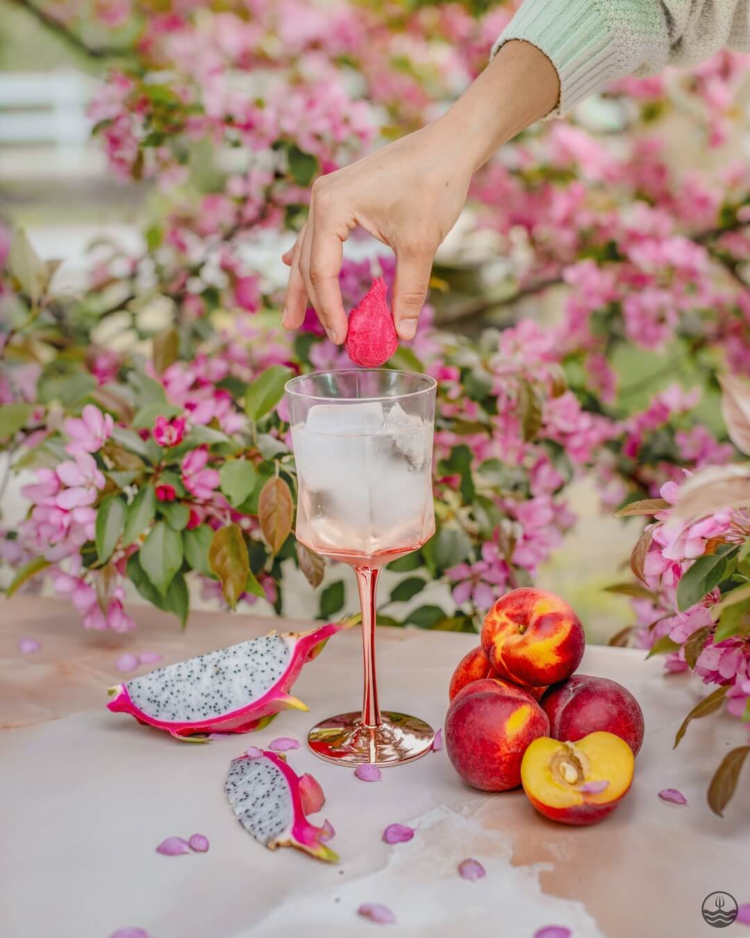 Fruit du dragon, pêche et fleur de cerisier