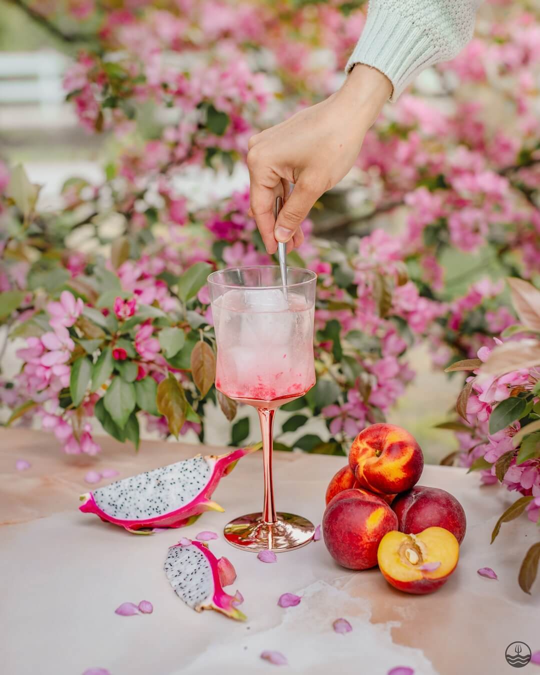 Sangria - Dragon fruit, Peach & Cherry blossom