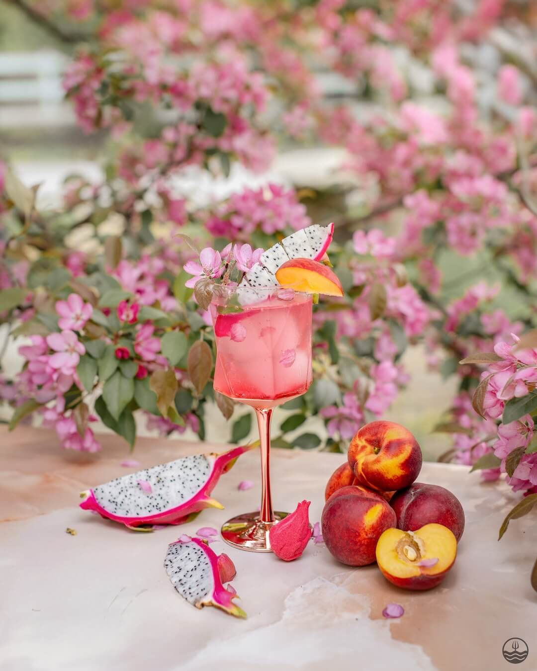 Sangria - Dragon fruit, Peach & Cherry blossom