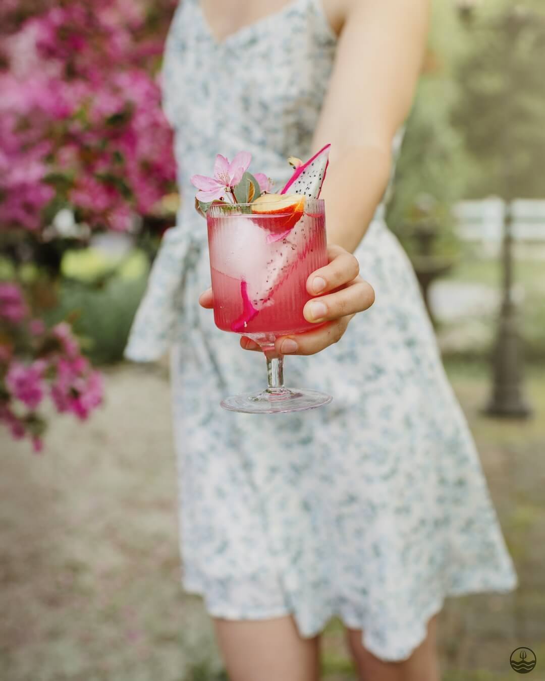 Sangria - Dragon fruit, Peach & Cherry blossom