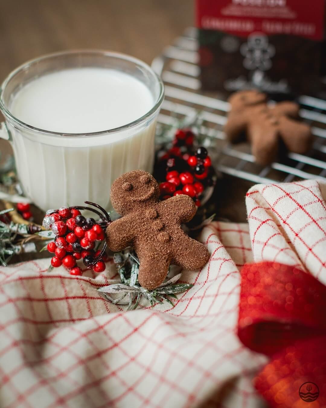 Hot Chocolate (Gingerbread)