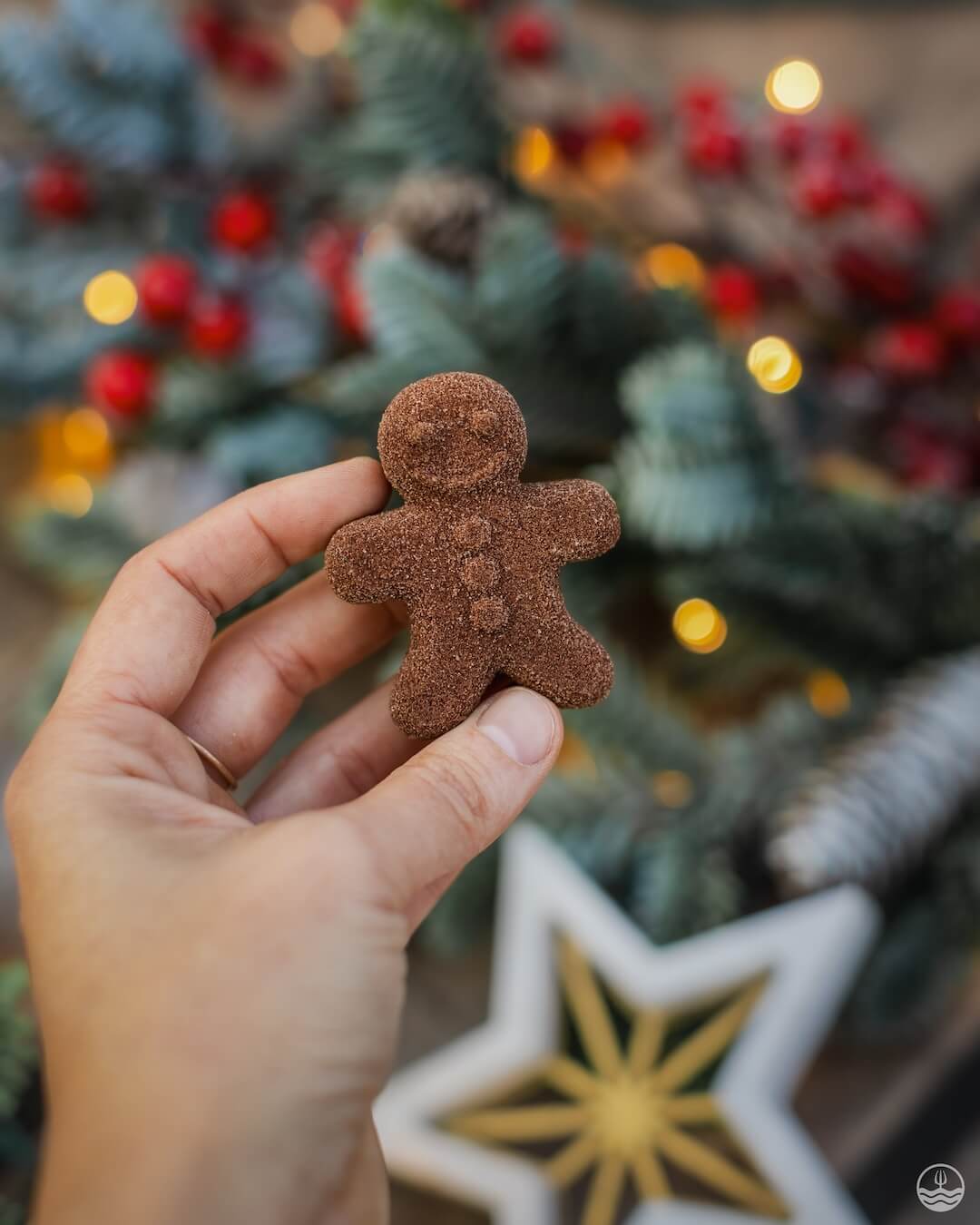 Hot Chocolate - Gingerbread