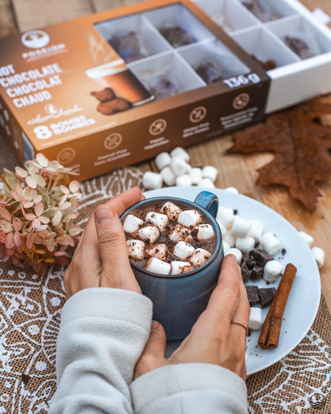 Hot Chocolate Variety Pack
