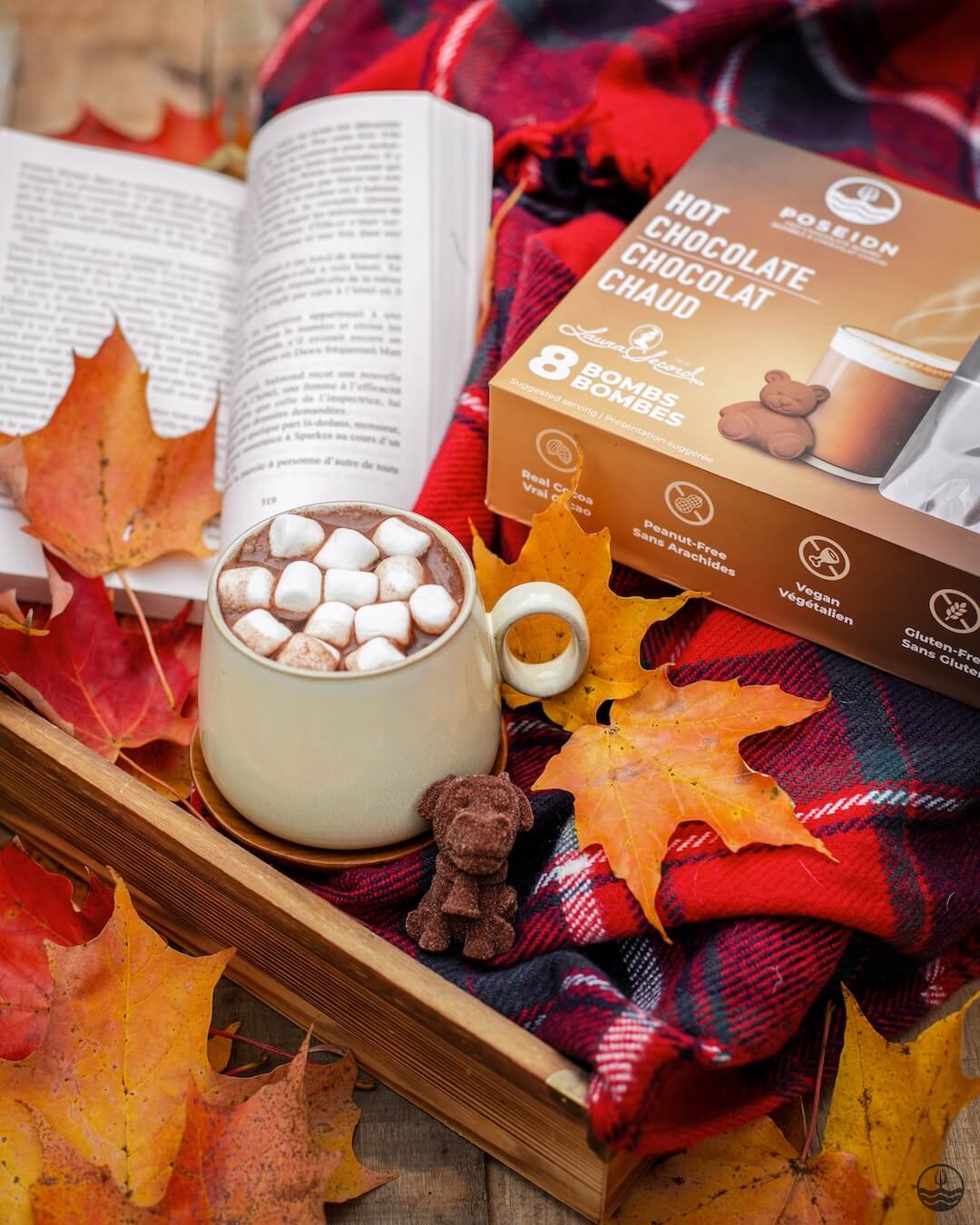 Hot Chocolate Variety Pack